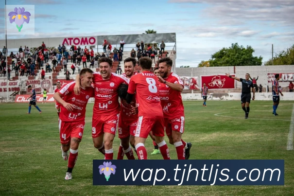 博亚官网平台生态图