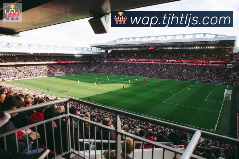 博亚官网服务体系